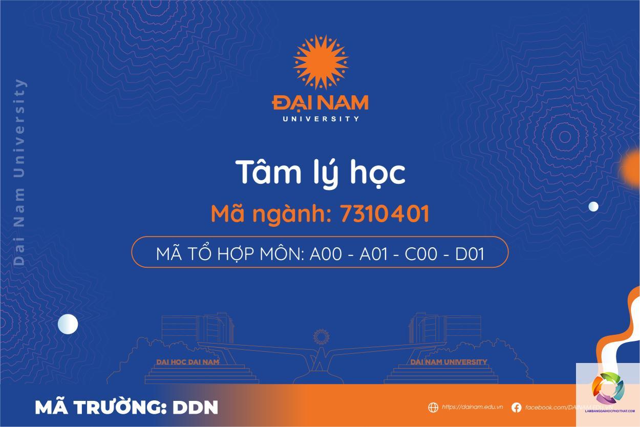bằng đại học tâm lý học ra làm gì - Hình 2