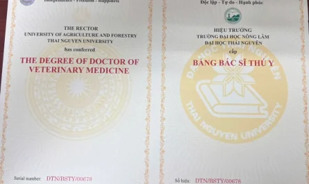 bằng đại học thú y có dễ xin việc không