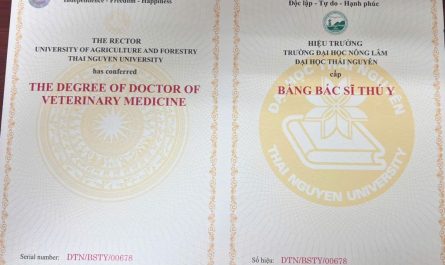 bằng đại học thú y có giá trị gì