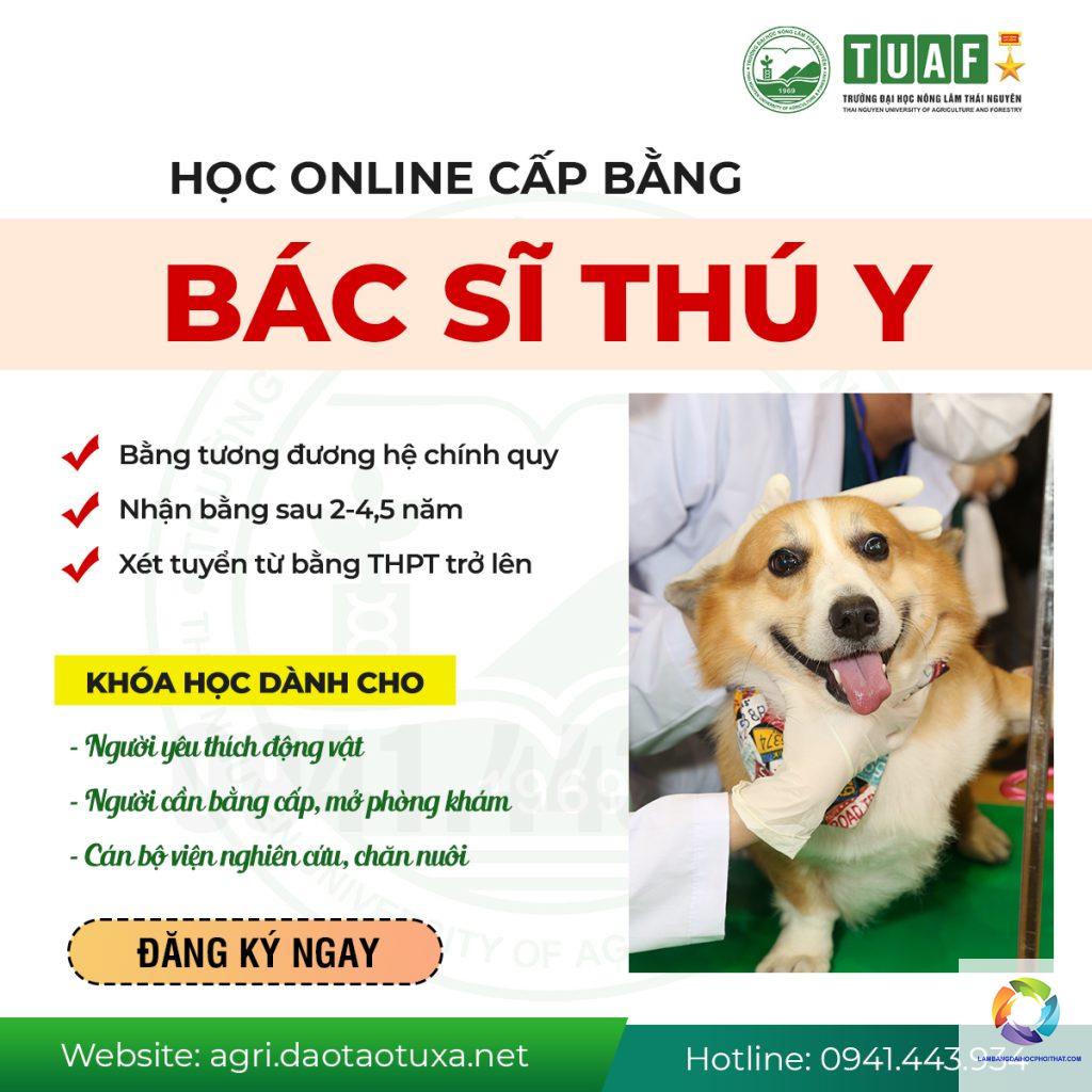 bằng đại học thú y có giá trị gì - Hình 4