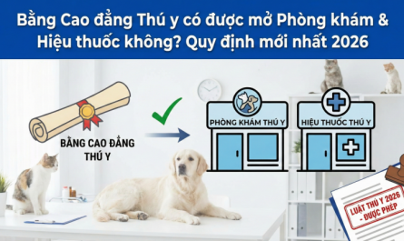 bằng đại học thú y mở phòng khám thú y được không