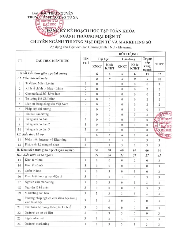 bằng đại học thương mại điện tử làm seo được không - Hình 3