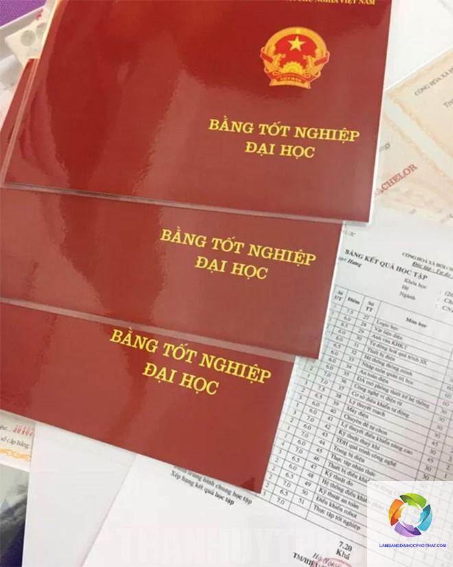 bằng đại học và bằng nghề - Hình 1