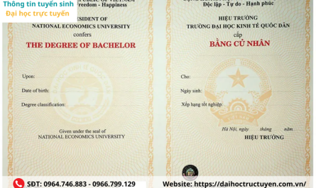 có bằng đại học xin việc ở đâu