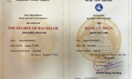 hình ảnh bằng đại học