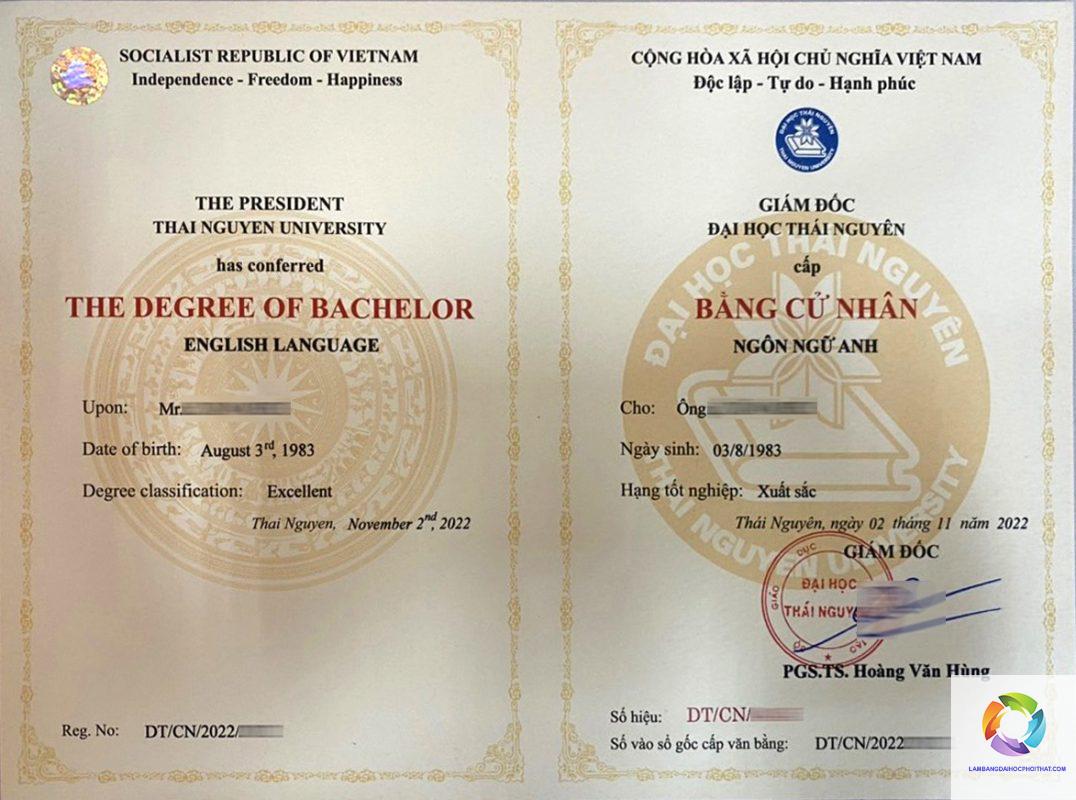 mẫu bằng đại học mới nhất - Hình 4