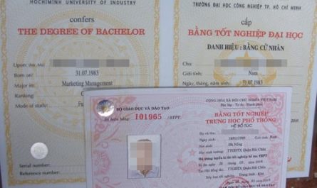 số seri bằng đại học là gì